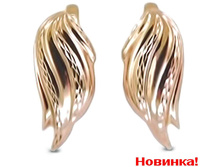 1006930300.jpg