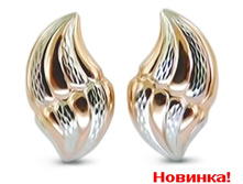 1006930303.jpg