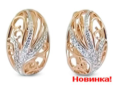 1006930305.jpg