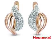 1006930307.jpg