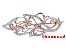1006930324.jpg