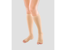 ������ No119  ������� (2 �����) �������. 527���.