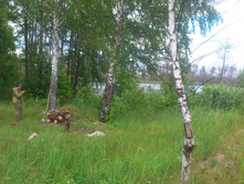 �������� �����