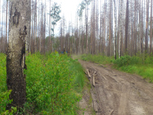 �������� ����� �����������, ��������� �������� ������ :)