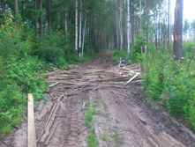 ��, ������...