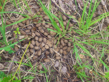 ��� ��..���?? :)