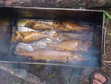 ��������� ����