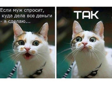 7091345.getImage_-3-[1] - ����� (2).jpg