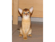 5228_6[1] - ����� (2).jpg