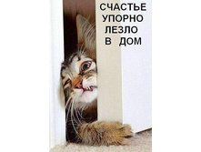 _3kG7OMP3gQ[1] - �����.jpg