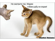 iCX13SC2N - �����.jpg