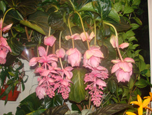 DSC03324.JPG