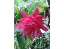 ����-0009.jpg