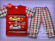 ������ ��� �������� Speedway  250 �.jpg