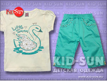 ������ Little Swan 860 �.jpg