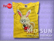 �������� ��� ������� Karaoke  195 �.jpg