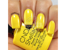 Shellac.Bicycle Yellow .���.����.������ �� ���������!.jpg