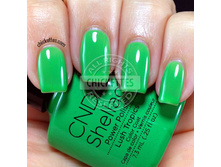 Shellac.Lush Tropics.���.����.������ �� ���������!2.jpg