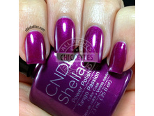 Shellac.Tango Passion..���.����.������ �� ���������!.jpg