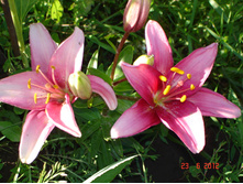 ����� ������� (�ϣ ����)