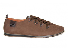 ���. 181/1 ����� �����