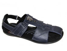 ���. 705 ����� ����.JPG