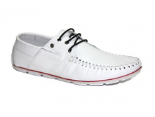 ���. 208 ����� ����.JPG