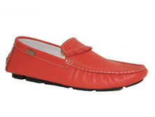 ���. 210 ������� ����.JPG