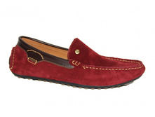 ���. 2017 ����� �����.JPG