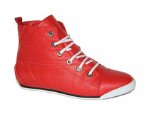 ���. 429 ������� ����.JPG