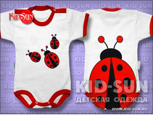 ���� Ladybug 160 �.jpg