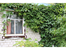 �������� ������� (�ϣ ����)