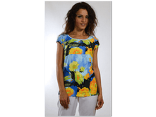 big_cat_99cc23165aed4432a770bfdce691dec7.png