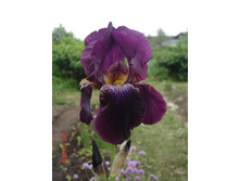 ���� �������� �������(�ϣ ����)