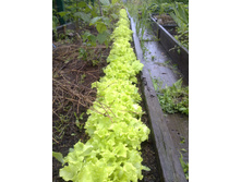 ������ ����� � ���� ������