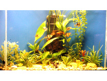 29.06.2014_16_55_04_406.jpg