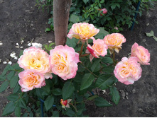 ���������� 2014. 2 ���.