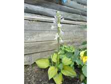 ����� 2014. 2 ���.