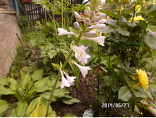 ����� 2014. 2 ���.