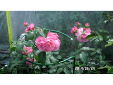 �������.2014. 2 ���