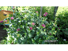 �������!