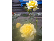 �����. 2014. 2 ���