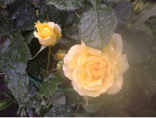 �����. 2014. 2 ���