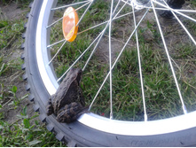 ������� � ������