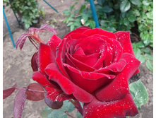 ������! 2014. 2 ���.