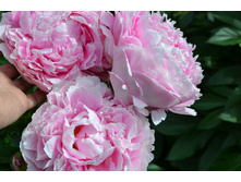 ���� ���� ������.JPG