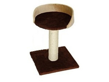 �� 520 ��� ���������� 55�� "��������" ���������� �� �������