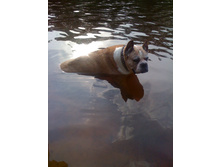 ��� ���� 063.JPG