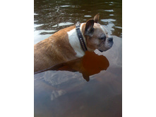 ��� ���� 064.JPG