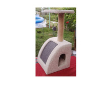 �� 1115� ����� ��� ����� "VIP" 75��